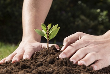 estudia ingeniera ambiental