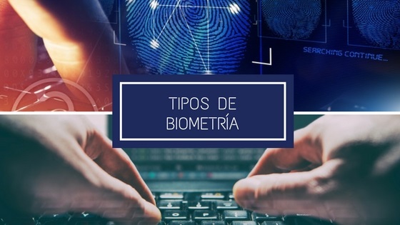 tipos de biometra