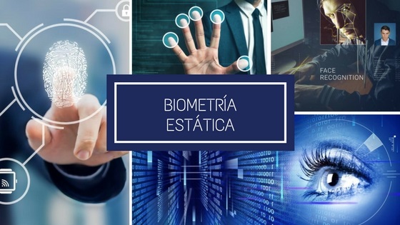 biometra esttica