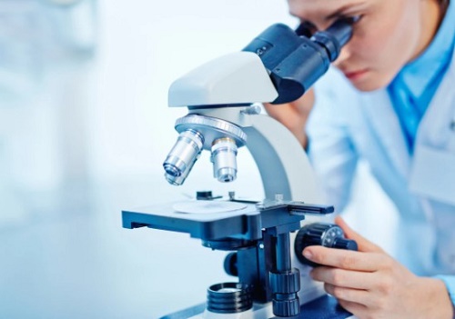 la biotecnología en la industria la biotecnología en la industria