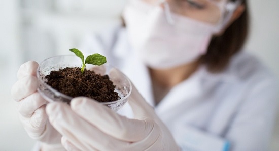 dónde estudiar biotecnología dónde estudiar biotecnología