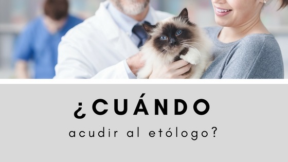 cundo es necesario un etlogo