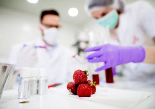 desarrolla nuevos productos desarrolla nuevos productos