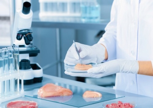 centro de investigación de alimentos centro de investigación de alimentos
