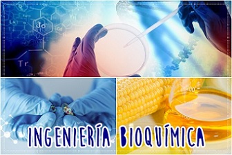 ingeniera bioqumica