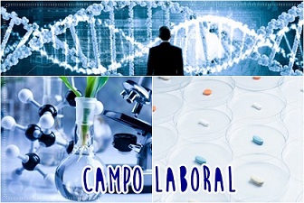 campo laboral de un ingeniero bioqumico